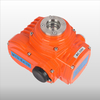 Ex Actuator Explosion Proof IP68