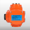 Ex Actuator Explosion Proof IP68