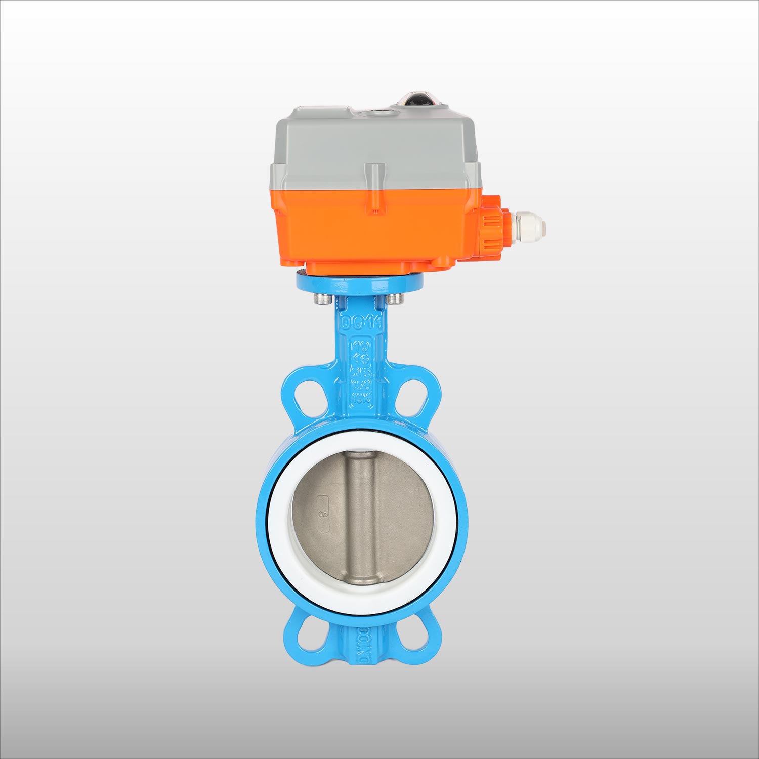 Cast Iron TPFE/EPDM Butterfly Valve