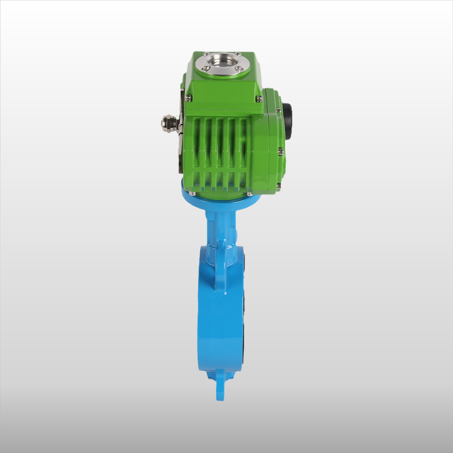 TPFE Butterfly Valve